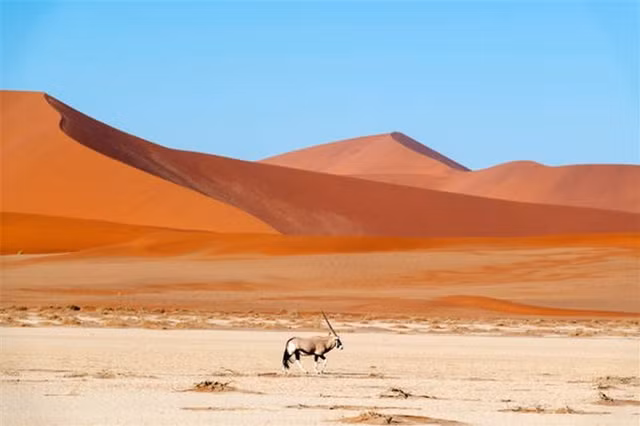 Tan muc sa mac vua hung vi vua bi an nhat hanh tinh-Hinh-6