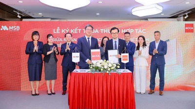 MSB đạt chứng nhận ACCA Approved Employer: Khẳng định cam kết phát triển
