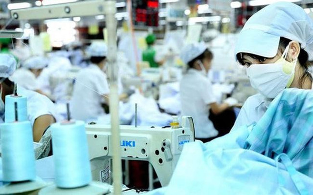 Mot cong ty may tra co tuc bang tien gap 14 lan thi gia