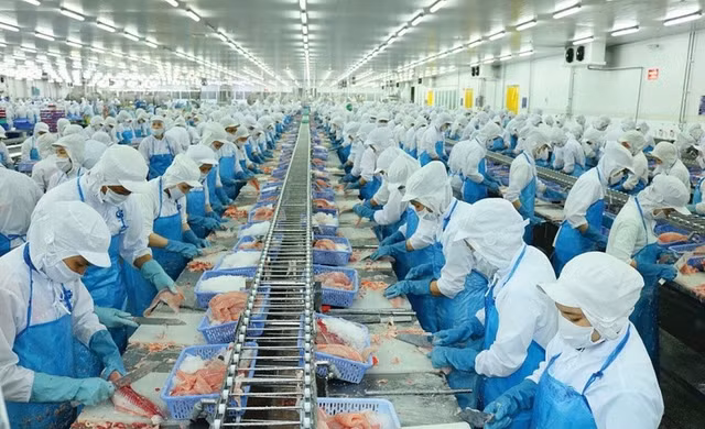 'Nu hoang' ca tra Vinh Hoan bat ngo ha muc tieu loi nhuan