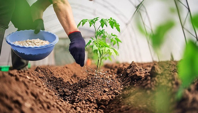 4 doanh nghiệp hưởng lợi khi áp thuế VAT 5% cho phân bón 4 doanh nghiep huong loi khi ap thue VAT 5% cho phan bon