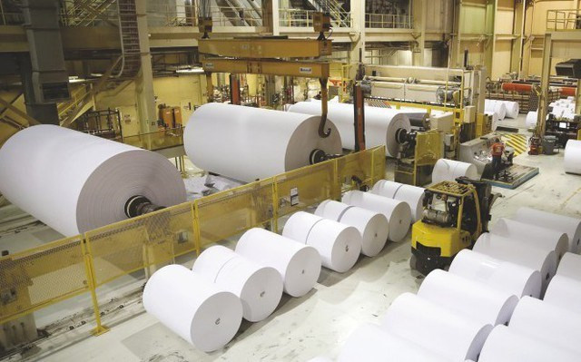 Cổ đông Giấy Việt Trì nhận cổ tức năm 2024 sau Tết Nguyên đán Co dong Giay Viet Tri nhan co tuc nam 2024 sau Tet Nguyen dan