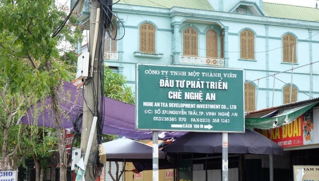 Chè Nghệ An bị công ty kiểm toán ngừng hợp tác Che Nghe An bi cong ty kiem toan ngung hop tac