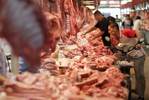 Giá heo hơi hôm nay 26/12: Tăng vọt tới 5.000 đồng/kg Gia heo hoi hom nay 26/12: Tang vot toi 5.000 dong/kg