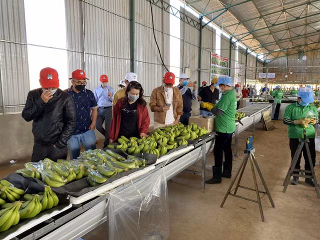 Bau Duc huong dan cac co dong, nha dau tu tham quan du an-Hinh-4