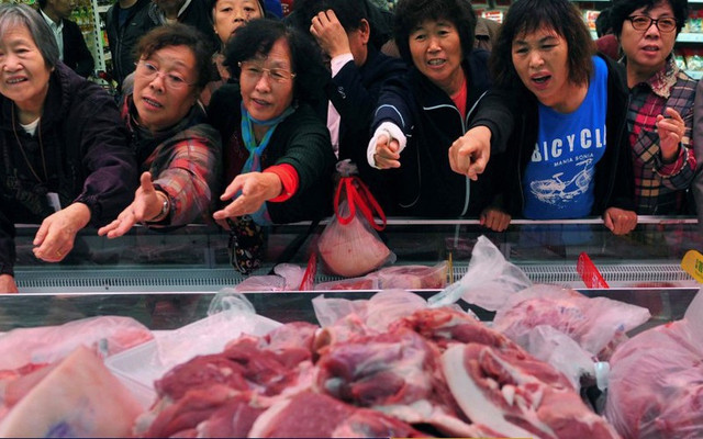 Giá heo hơi hôm nay giảm nhẹ Gia heo hoi hom nay giam nhe