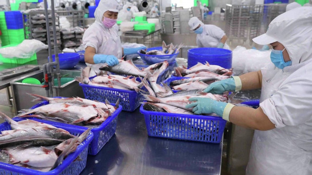 Vĩnh Hoàn: Xuất khẩu sang Trung Quốc giảm 54% trong tháng 2 Vinh Hoan: Xuat khau sang Trung Quoc giam 54% trong thang 2