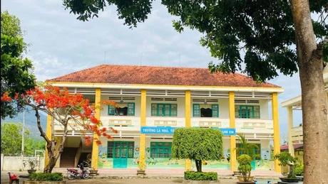 Lâm Đồng: Chỉ định thầu cho liên danh có thành viên mới thành lập, tiết kiệm 0 đồng 