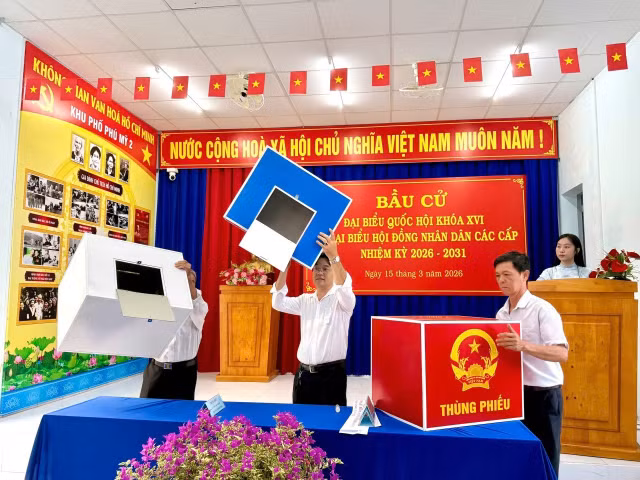 bd6.jpg