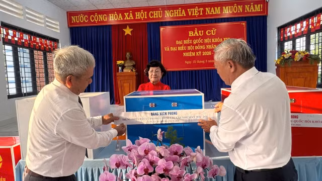 bd7.jpg