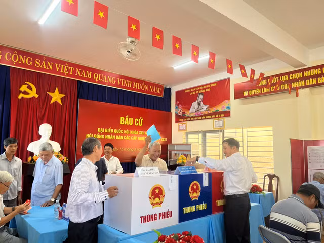 bau-cu-tphcm2.jpg