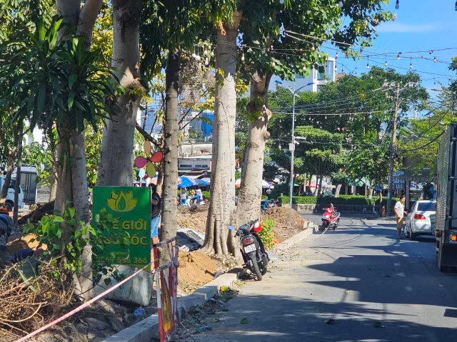 TP. HCM: Cận cảnh dự án xây dựng công viên phường 7, quận Gò Vấp - Hình 5 TP. HCM: Can canh du an xay dung cong vien phuong 7, quan Go Vap-Hinh-5
