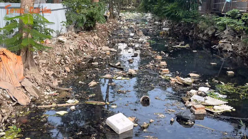 Khu dân cư Tứ Liên ngột ngạt vì mương nước ô nhiễm, rác thải bủa vây