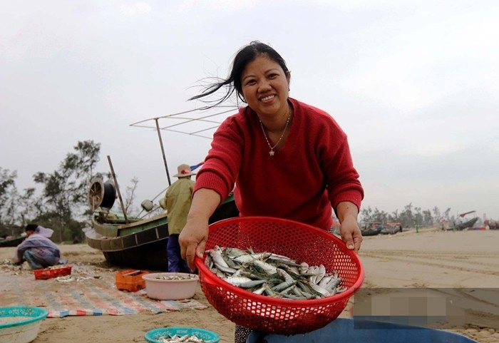 Dù mức giá không cao nhưng với sản lượng từ vài trăm kg đến gần 1 tấn, mỗi chuyến biển ngư dân có thể thu về hàng chục triệu đồng. Ảnh: Tiền phong
