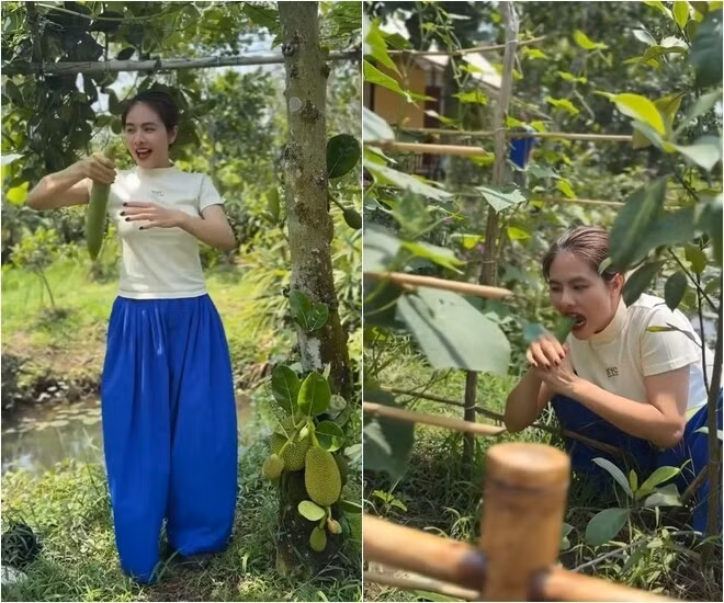 Không chỉ trái cây, trong khuôn viên khu vườn còn có nhiều nông sản sạch. Ảnh chụp màn hình