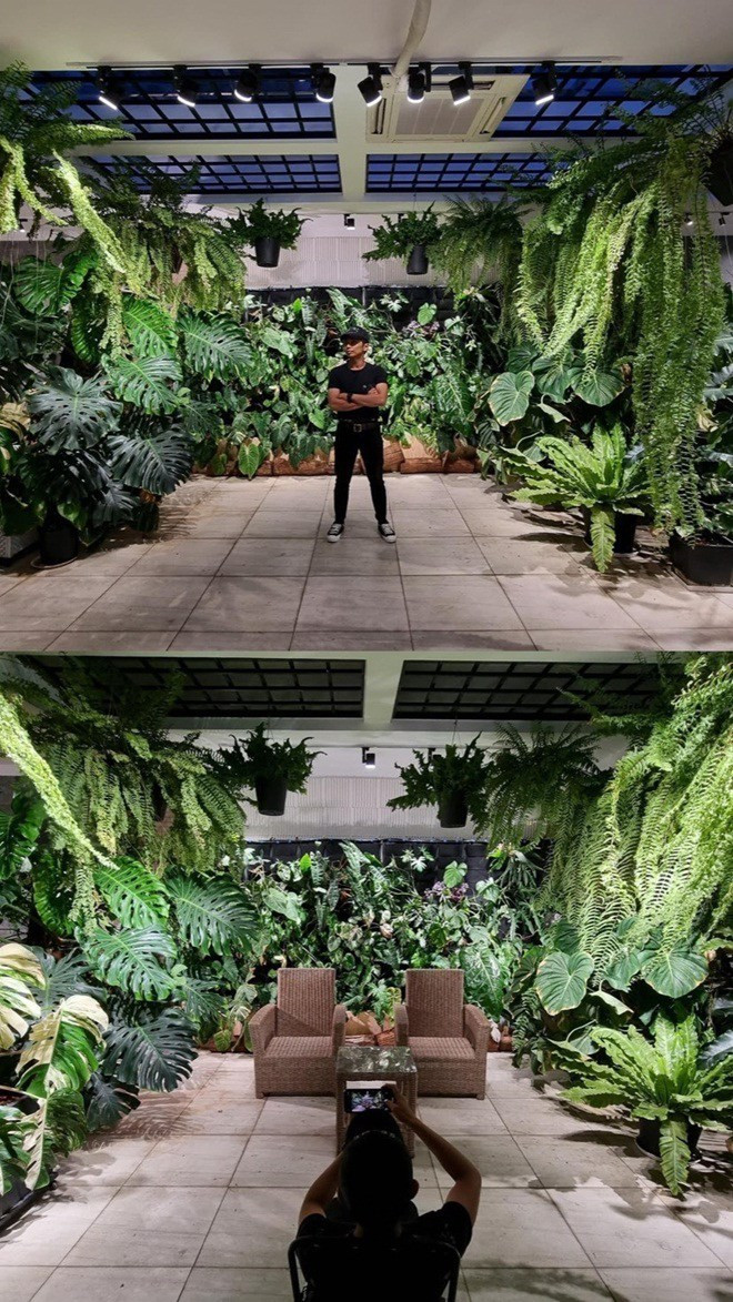 Ngoài hoa hồng, Phan Hiển còn tạo một khu vườn kiểng lá, trong đó có nhiều dòng cây đột biến độc lạ. Ảnh: FBNV