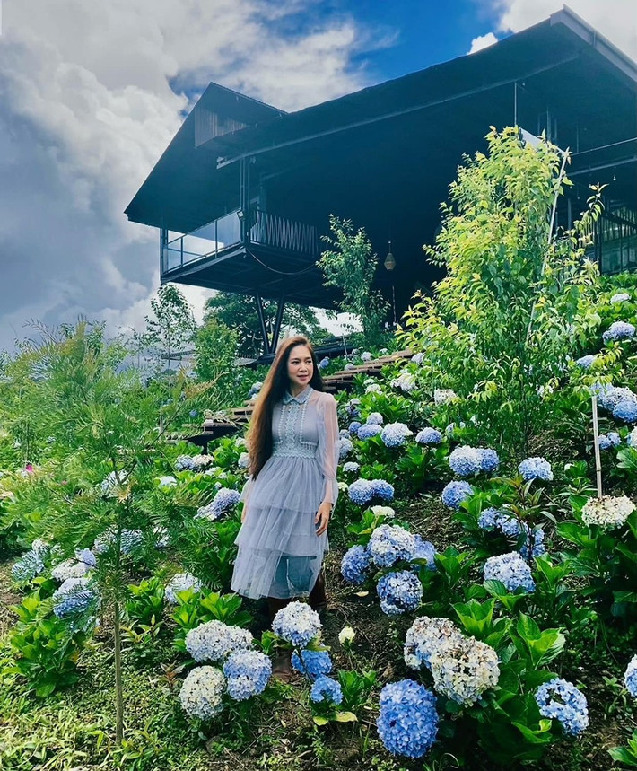 Nhờ đó, ngôi nhà trở nên thơ mộng, chẳng kém gì các homestay ở Đà Lạt. Ảnh: FBNV