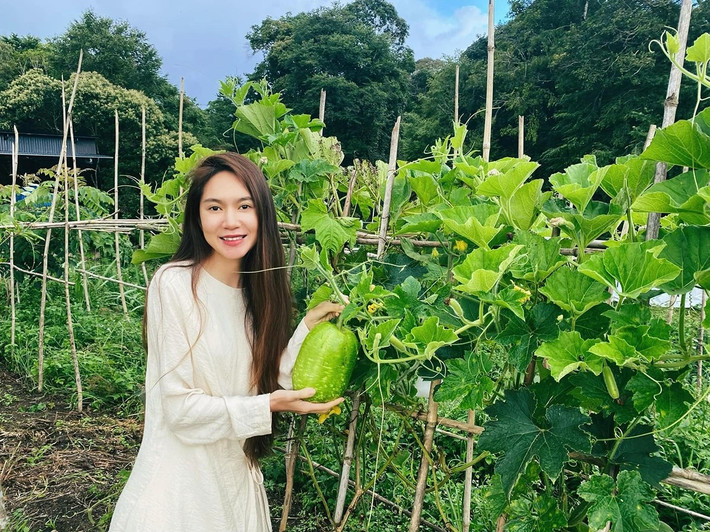 Bầu bí, bí đao...đều cho quả to, căng bóng. Ảnh: FBNV