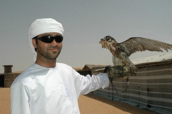 Nhiều đại gia sẵn sàng chi khoản tiền lớn để sở hữu những cá thể có nguồn gốc quý hiếm hoặc khả năng săn mồi đặc biệt. Ảnh: Smithsonian Photo Contest