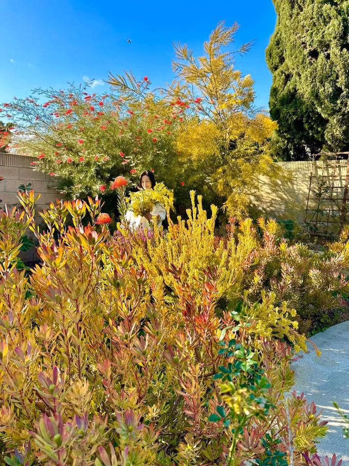 Trong khu vườn, nghệ sĩ Hồng Đào trồng nhiều loại hoa như hồng, sen đá, hoa ly...Ảnh FB Hồng Đào