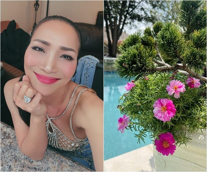 Mới đây, Hồng Ngọc chia sẻ những hình ảnh mới nhất về khu vườn xanh mát trong biệt thự. Ảnh: FBNV