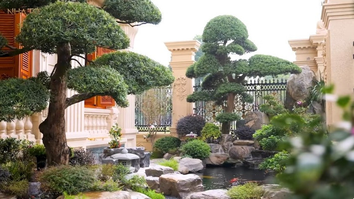 Căn biệt thự có tổng diện tích 600m2, diện tích xây dựng khoảng 300m2, còn lại 300m2 dành cho khuôn viên sân vườn. Ảnh: chụp màn hình NhaTo