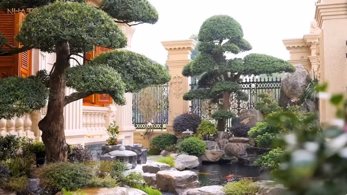 Căn biệt thự có tổng diện tích 600m2, diện tích xây dựng khoảng 300m2, còn lại 300m2 dành cho khuôn viên sân vườn. Ảnh: chụp màn hình NhaTo