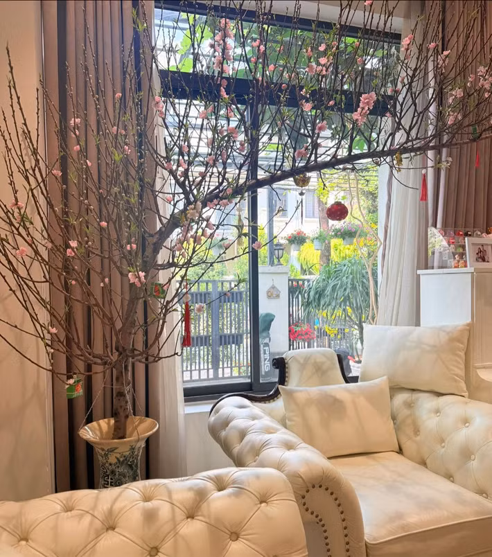 Góc phòng khách ngập hoa đào ngày Tết. Ảnh: FB Nguyễn Thanh Vân