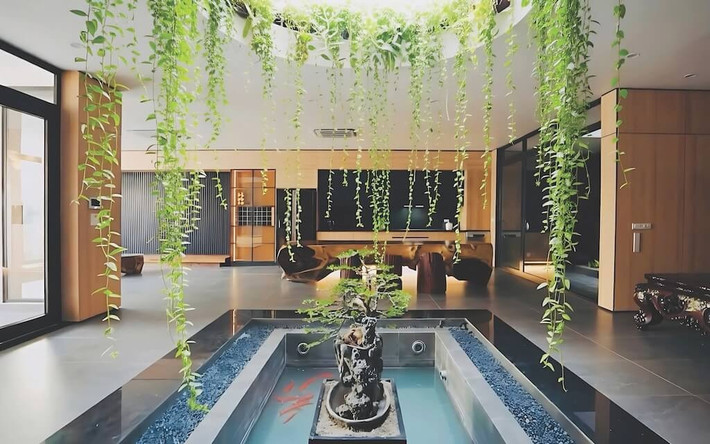 Tầng trệt bố trí xoay quanh hồ cá trung tâm, yếu tố điều hòa vi khí hậu của ngôi nhà. Ảnh: NguyenhieuARC