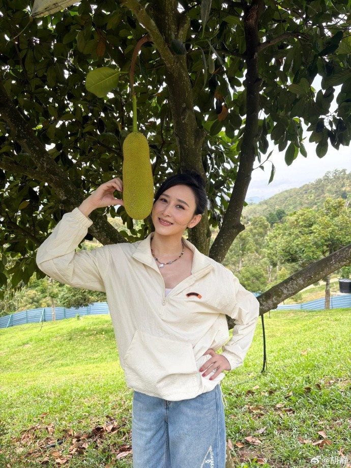 Khu vườn trồng nhiều loại trái cây nhiệt đới. Ảnh: QQ