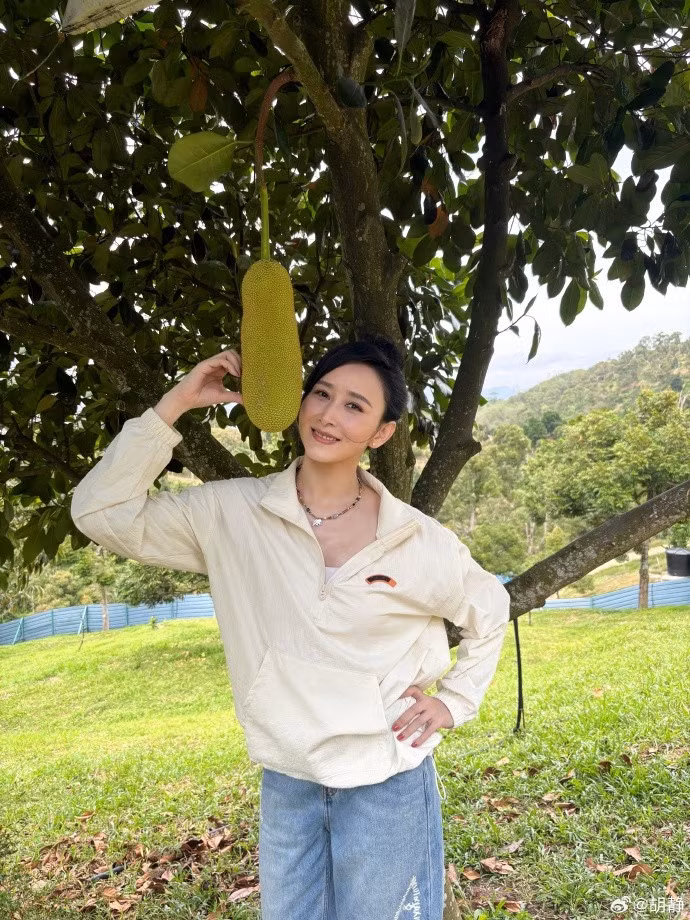 Khu vườn trồng nhiều loại trái cây nhiệt đới. Ảnh: QQ