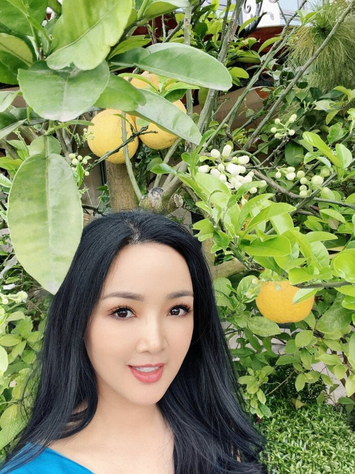 Cây bưởi quả chín vàng nhưng đã cho đầy lộc non. Ảnh: FBNV