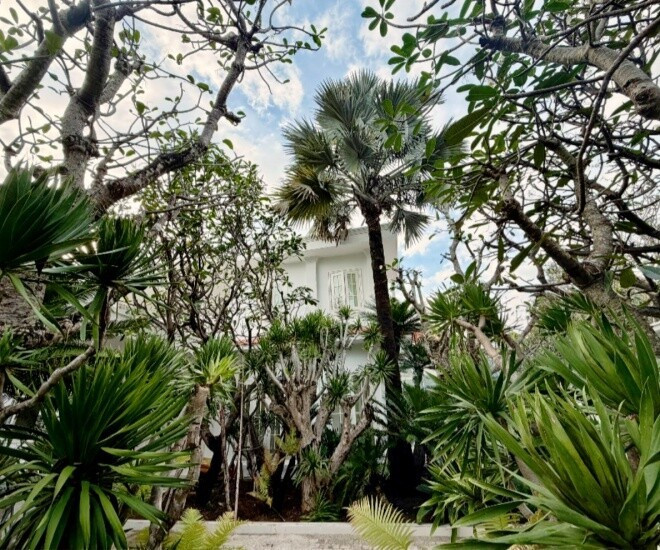 Đầu năm nay, nhà thiết kế Đỗ Mạnh Cường tậu căn biệt thự sân vườn rộng tới 2.000m² ở khu Thảo Điền (TP HCM) để các con có không gian sống trong lành. Ảnh: FBNV