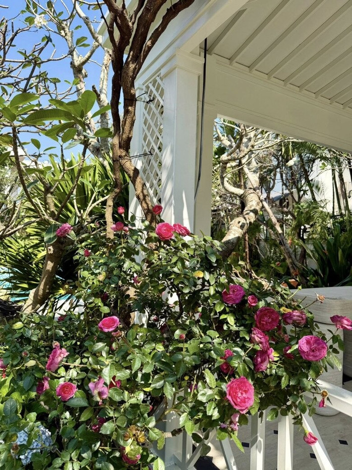 Sắc xanh dày đặc xen lẫn đủ loại hoa như cẩm tú cầu, hồng...Ảnh: FBNV