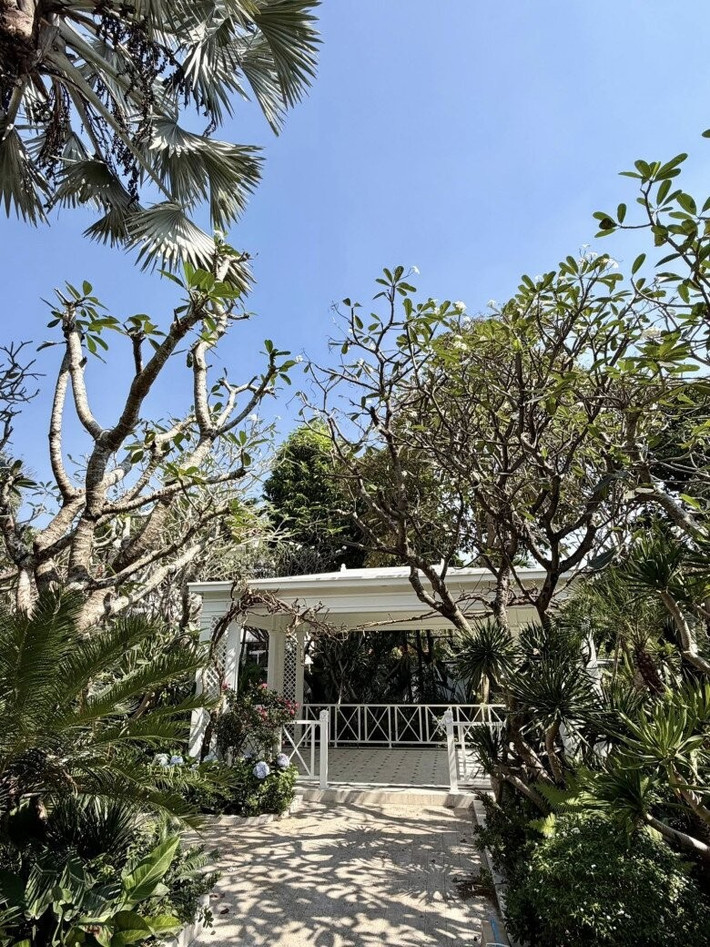 Giữa không gian xanh mát, khu nhà chòi trắng nổi bật như một điểm nhấn tinh tế. Ảnh: FBNV