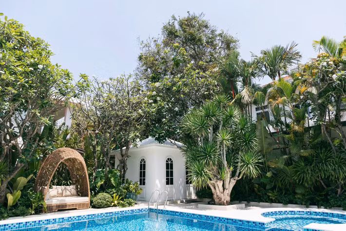 Hồ bơi trong vắt như một viên ngọc xanh ẩn mình dưới tán cây. Ảnh: FB Do Manh Cuong