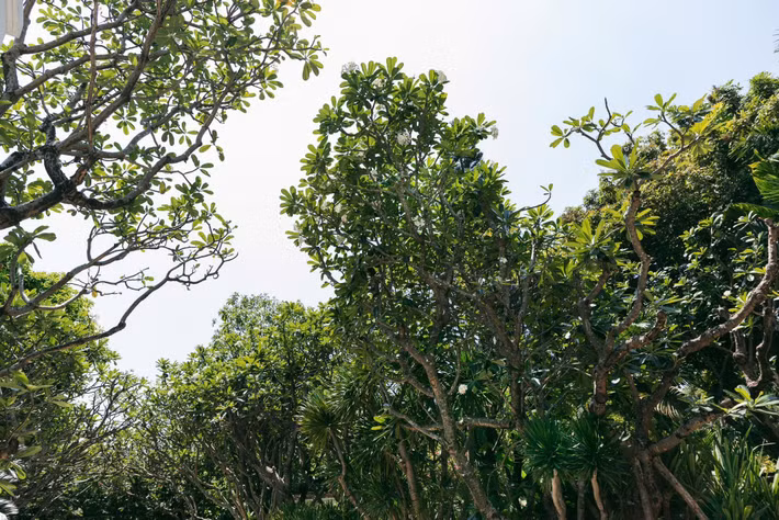 Giữa thành phố nhưng công trình không hào nhoáng phô trương bằng những khối bê tông thô cứng. Ảnh: FB Do Manh Cuong