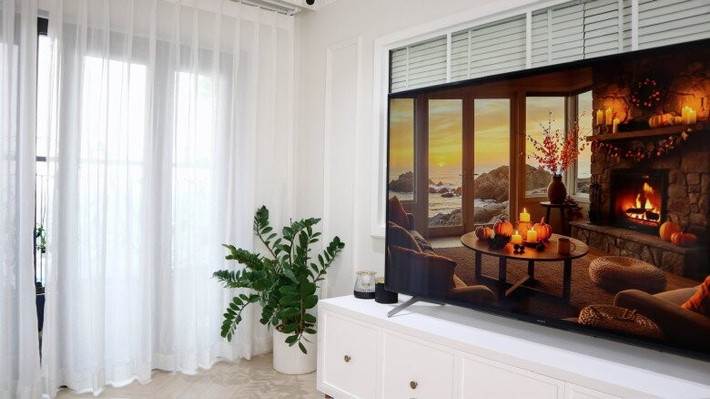 Cạnh ti vi, vợ chồng Bình An đặt chậu cây kim tiền, tô điểm cho không gian sống. Ảnh: FBNV