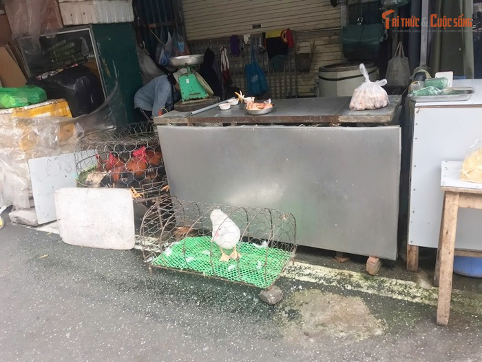 Gà, vịt được bày bán ngay sát mép đường.
