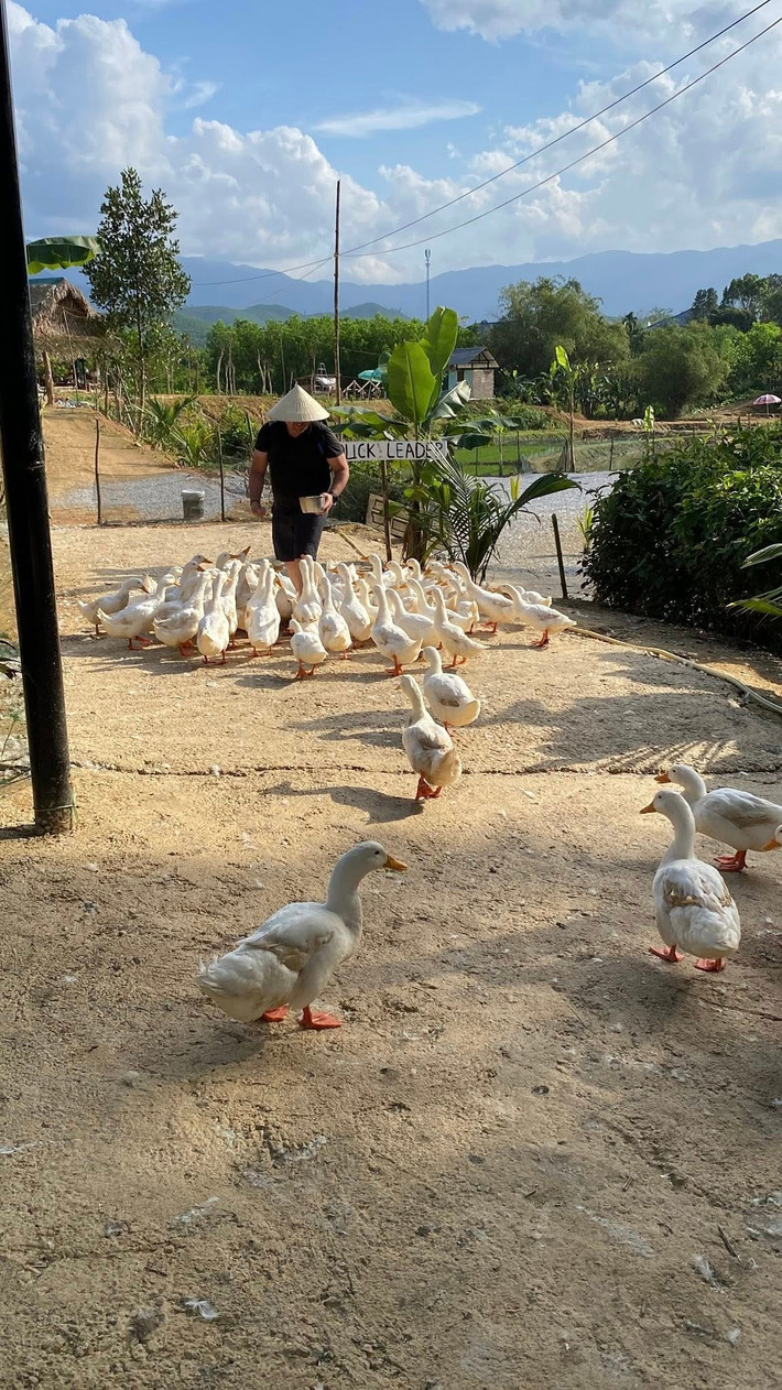 Giá vé trải nghiệm tại nông trại 120.000 đồng mỗi người trong khoảng 2 giờ. Ảnh: FB Duck Farm Phong Nha