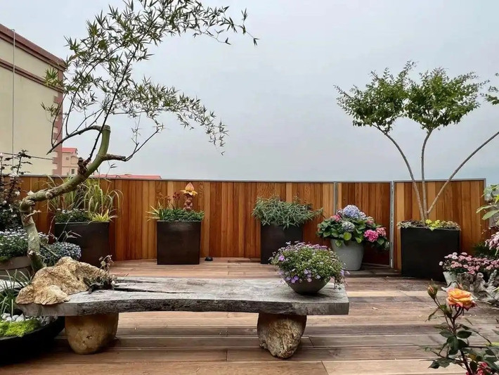 Tầng trên cùng là phòng đọc sách, làm việc và một khu vườn trồng cây. Ảnh: Toutiao