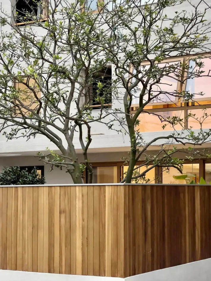 Hứa Nhất Hồng mong muốn bố mẹ có không gian để nghỉ hưu thoải mái. Đồng thời, ngôi nhà cũng là nơi đại gia đình 3 thế hệ chung sống. Ảnh: Toutiao