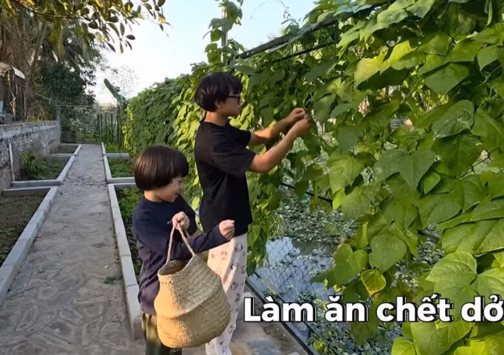 Giàn đỗ tươi xanh mướt trông thích mắt. Ảnh chụp màn hình