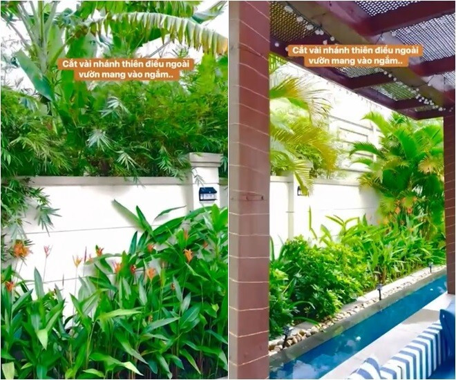 Khu vườn bao quanh nhà ngập tràn sắc xanh với các loại cây nhiệt đới, mang đến cảm giác thư thái. Ảnh chụp màn hình