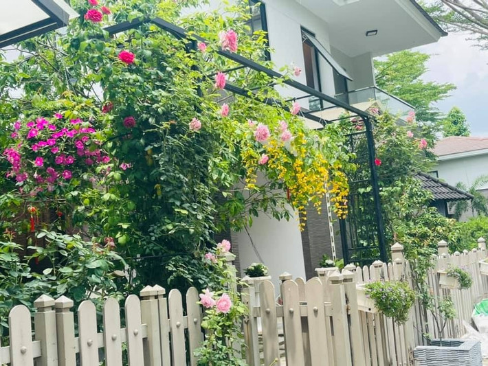 Các loại hoa đua nhau khoe sắc từ cổng vào trong. Ảnh: FBNV