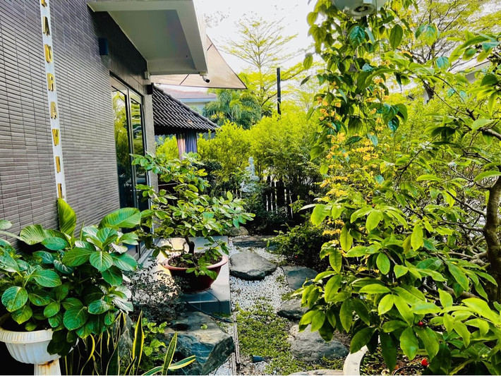 Cây cối xanh mát tạo cảm giác bình yên. Ảnh: FBNV