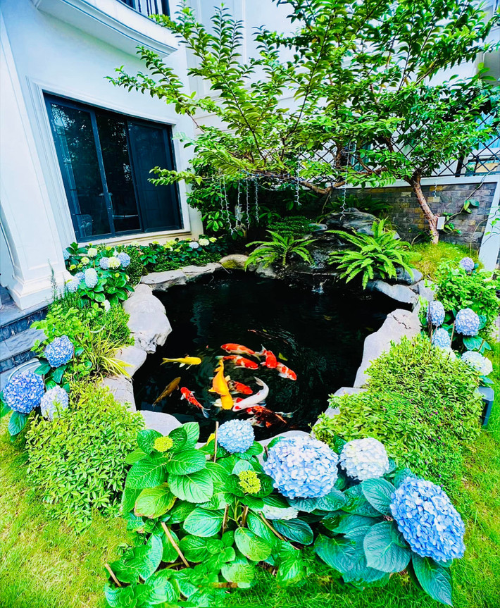 Với diện tích lên tới 450m2, Lã Thanh Huyền dành nhiều không gian cho cây cối, hồ cá. Ảnh: FBNV