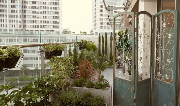 Ban công rộng 20m2 tràn ngập cây cối xanh tốt. Ảnh: FBVN