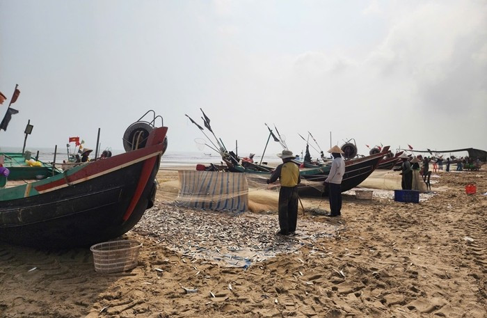 Những ngày đầu năm mới Bính Ngọ 2026, ngư dân nhiều xã ven biển ở Hà Tĩnh đánh bắt hải sản gần bờ trúng đậm cá trích. Ảnh: Tiền phong