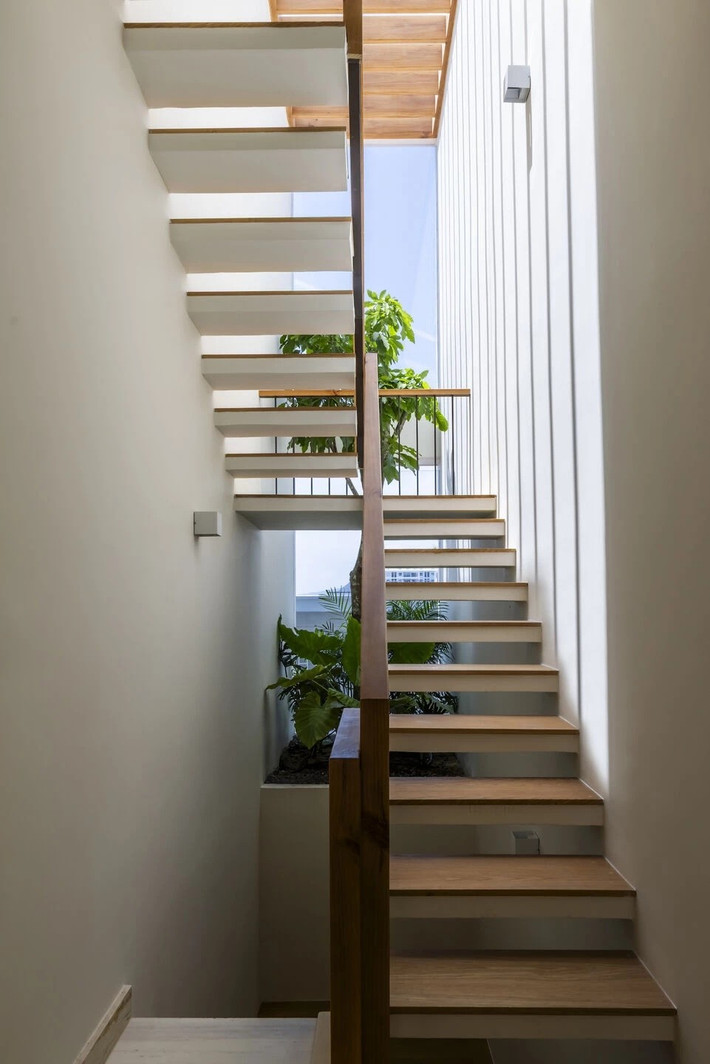 Cây xanh cũng được bố trí len lỏi dọc theo cầu thang và hành lang, mang sắc xanh đến từng góc nhỏ. Ảnh: Oki Hiroyuki